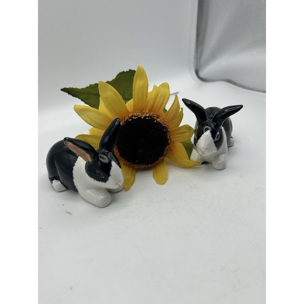 Dutch Rabbits Salt & Pepper Shaker - Picture 14 of 14
